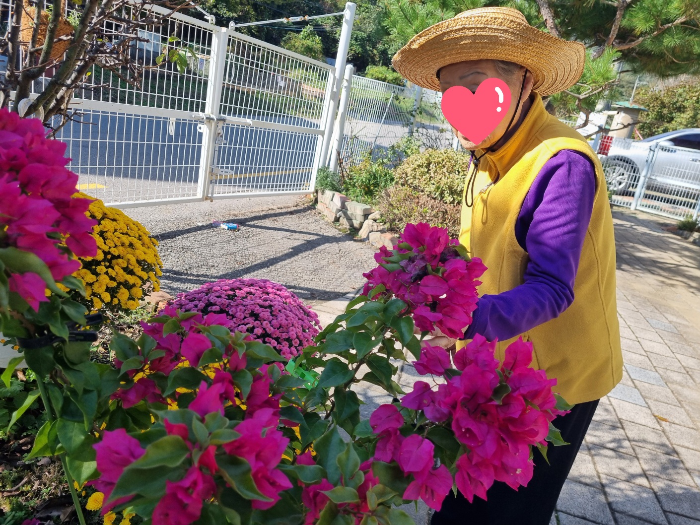 정다운 요양원 마당 전경 5