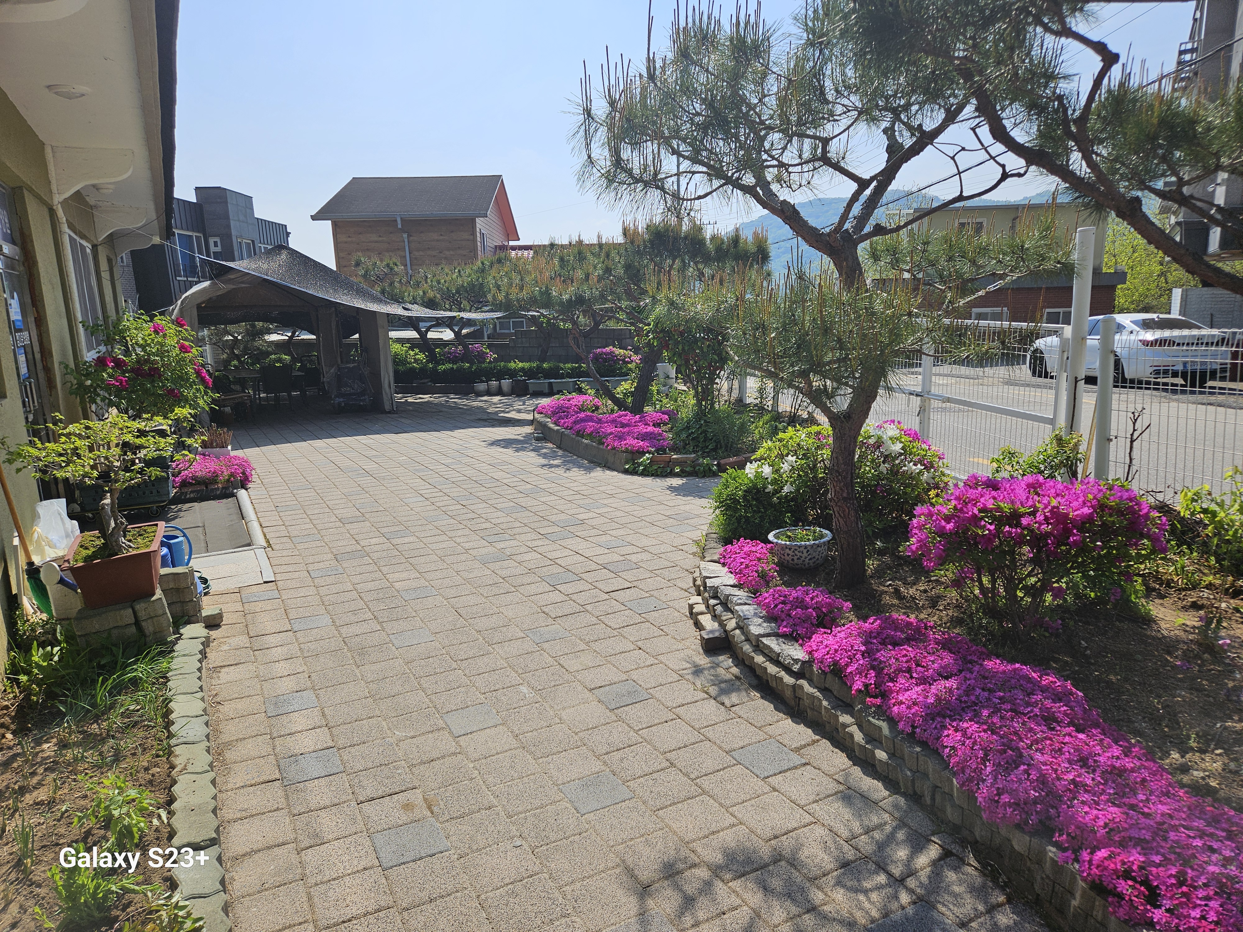 정다운 요양원 마당 전경 3