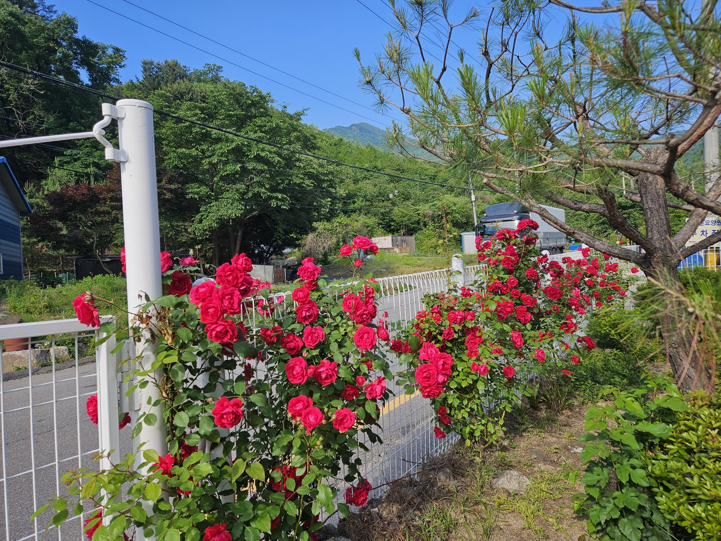 정다운 요양원 마당 전경 2